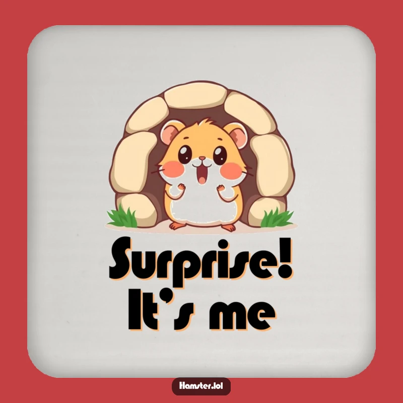 Funny Surprise Hamster Coaster - Tunnel Peek, Table Protection, Gift